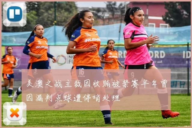美澳之战主裁因收贿被禁赛半年曾因漏判点球遭停哨处理
